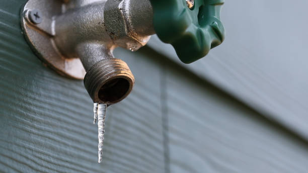 Best Septic Systems  in Mason, TN
